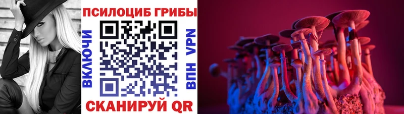 hydra ссылки  Агидель  darknet как зайти  Галлюциногенные грибы Cubensis 